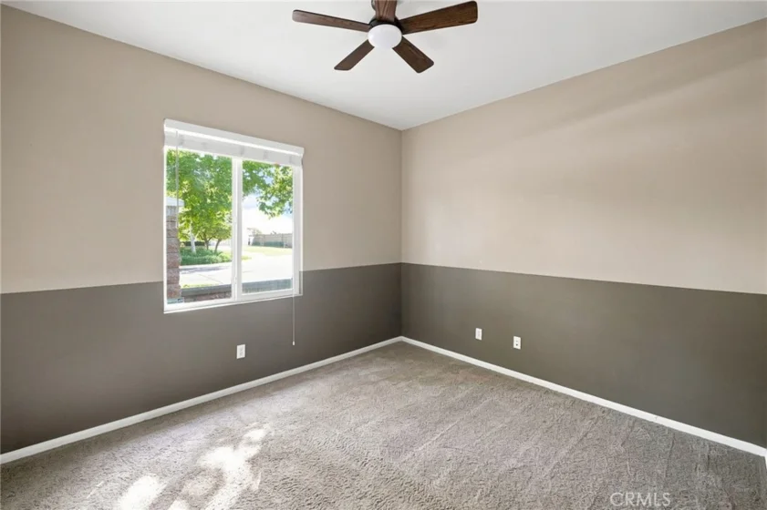 30580 Fox Sedge photo 22