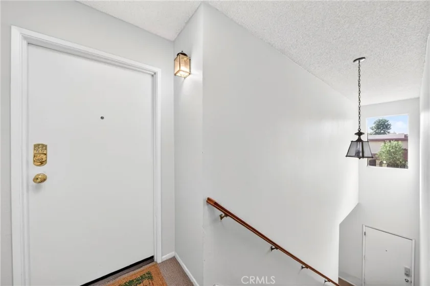 25261 Tanoak photo 6