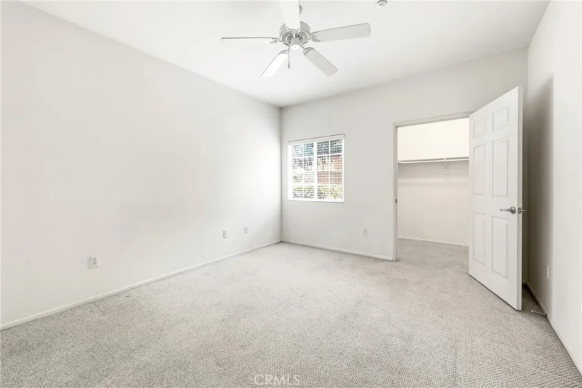 41410 Juniper photo 19
