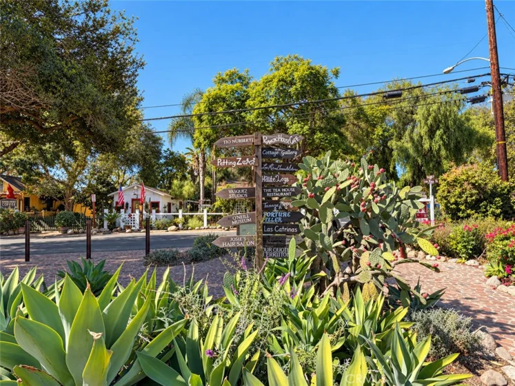 31608 Los Rios photo 30