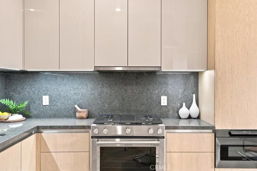 388 Cordova Street #505 photo 14