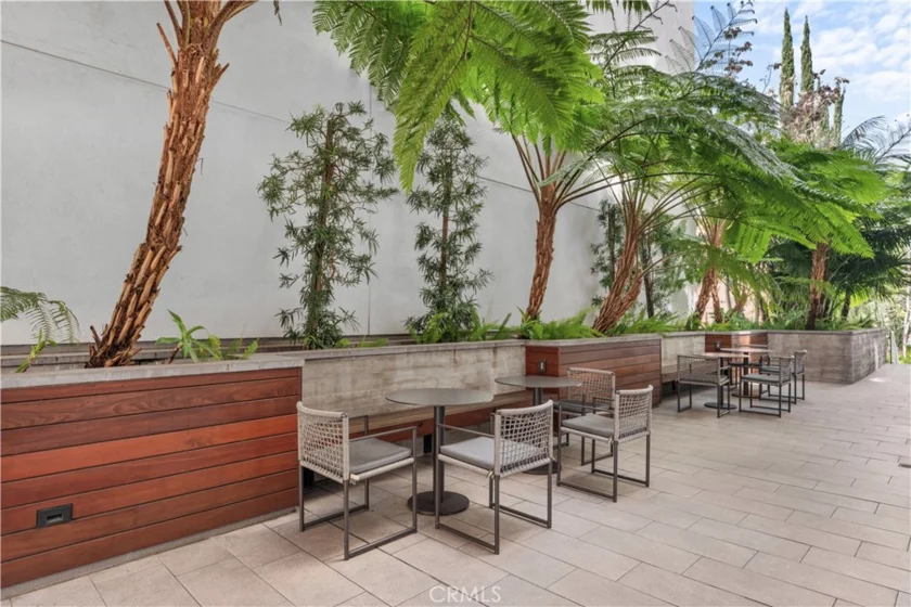 1234 Wilshire Boulevard #218 photo 20