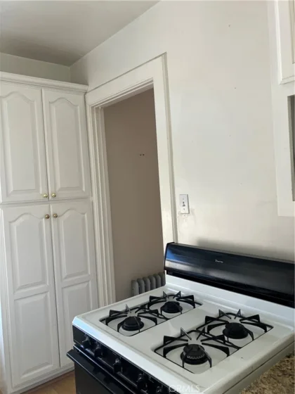 455 E Ocean Boulevard #1106 photo 14