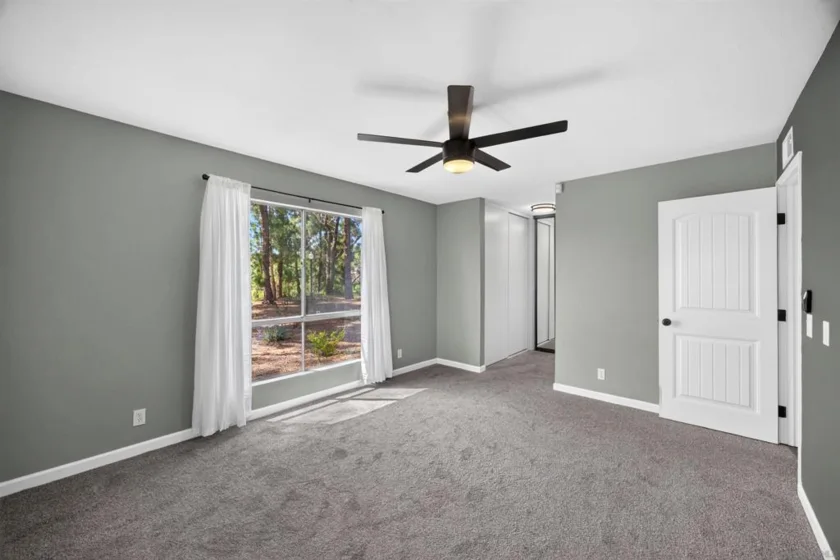 2207 Arborvitae photo 15