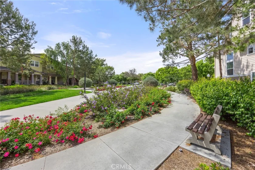 21 Arlington Street photo 49