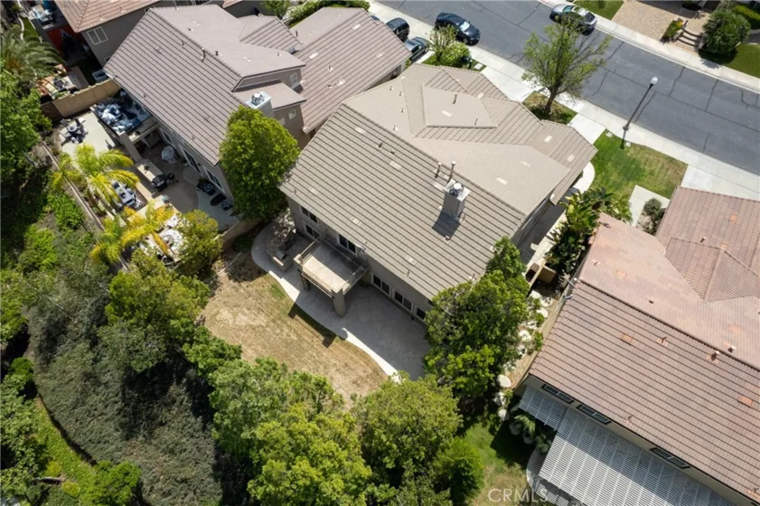 26919 Lemon Grass Way photo 51