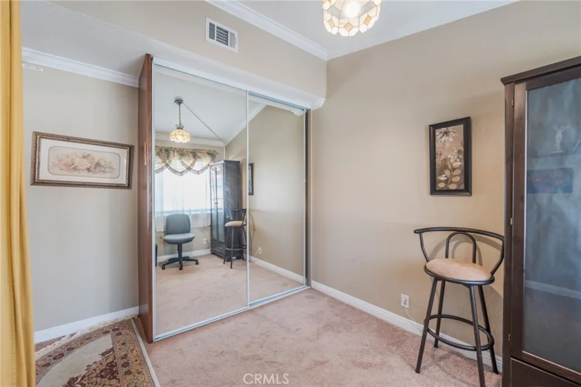 38 Carnation photo 22