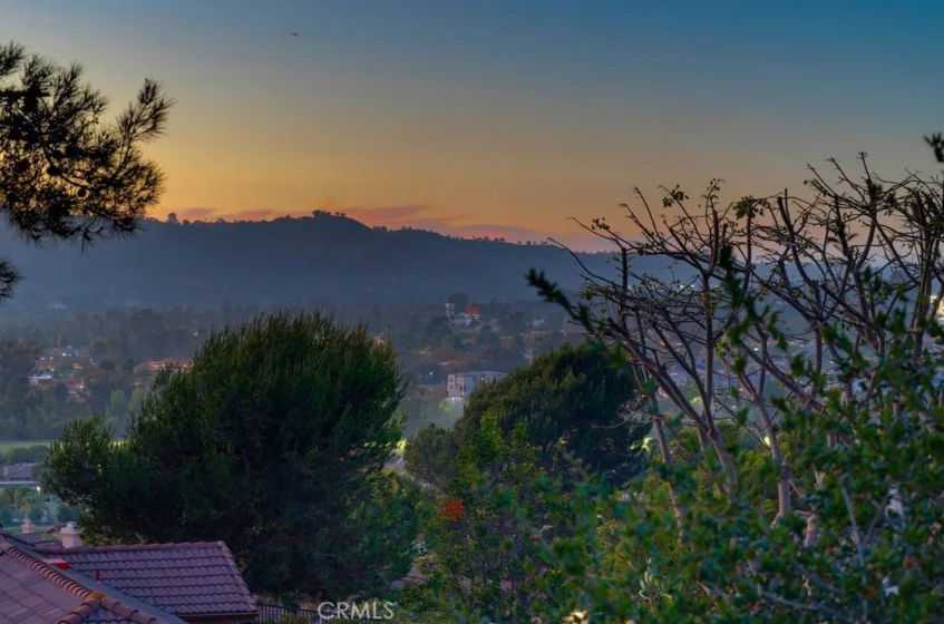 27349 Paseo Placentia photo 19