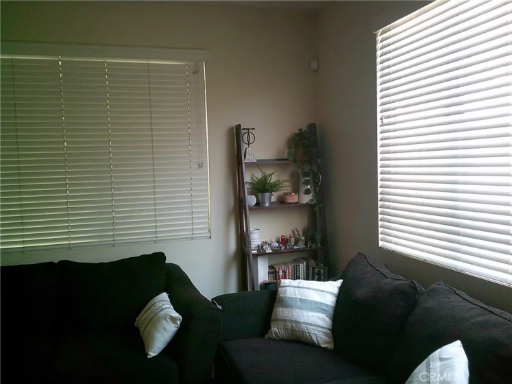 27959 Cactus #B photo 4