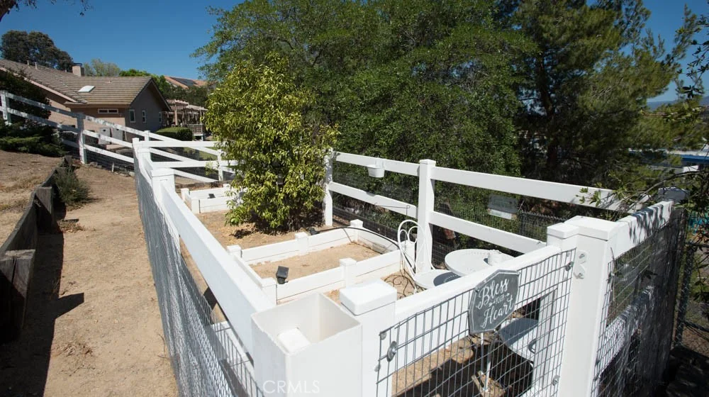 31201 Avenida Del Reposo photo 49