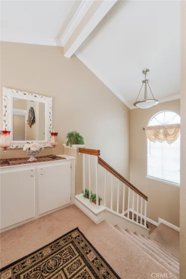 38 Carnation photo 24