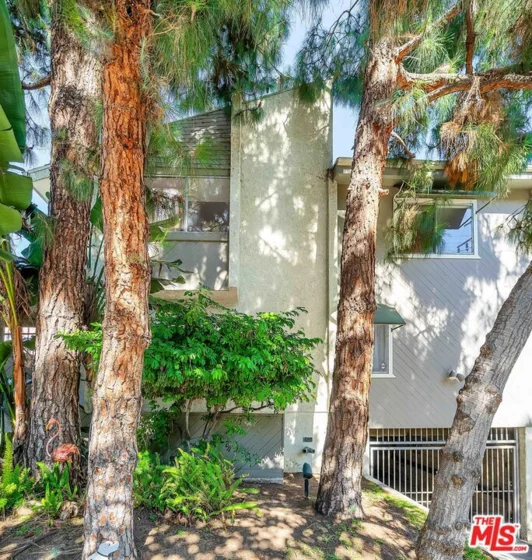 944 Palm Avenue #1 photo 1
