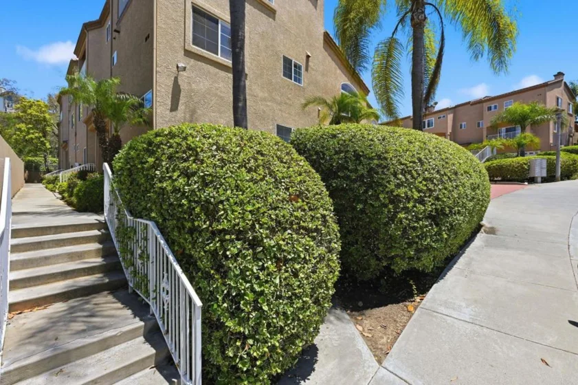 7548 Romeria Street photo 10