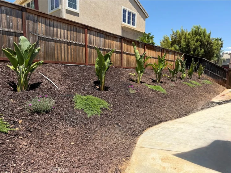 36673 Lynwood photo 35