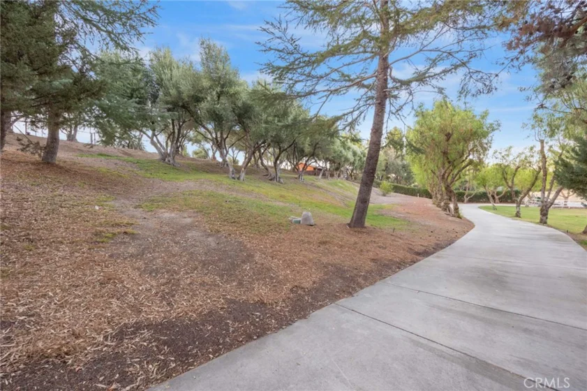 42761 Juniper photo 55