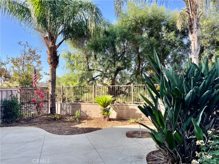 25192 Meadow Walk #1 photo 20
