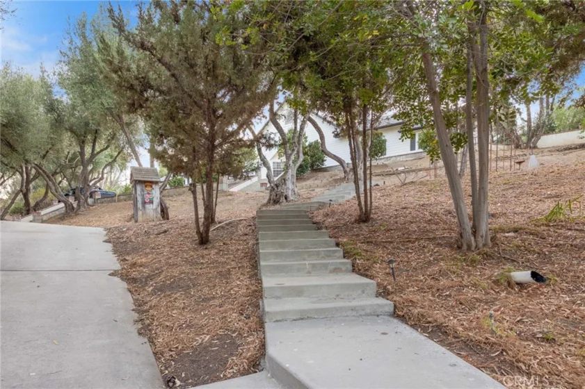42761 Juniper photo 59