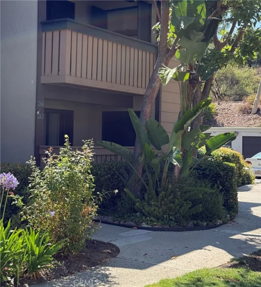 20702 El Toro Road #243 photo 1