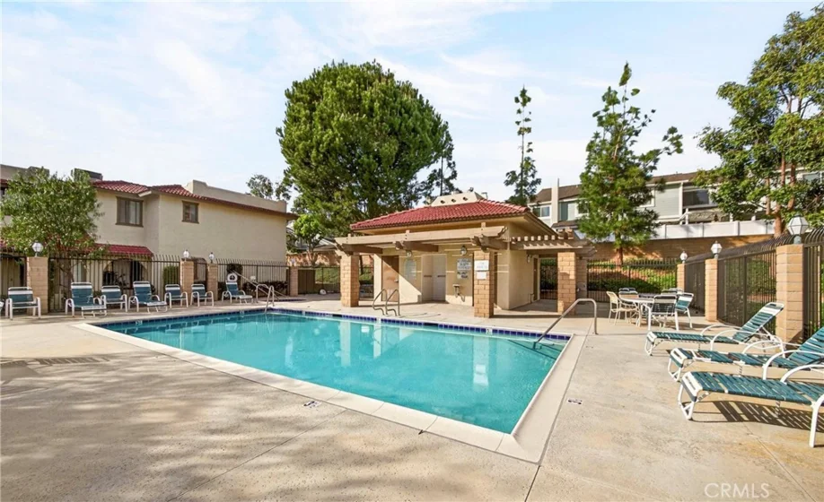 25261 Tanoak photo 38