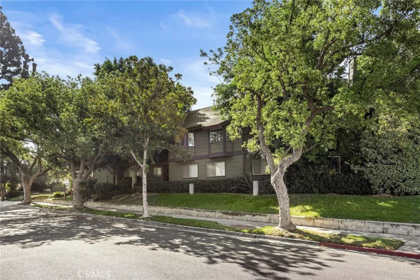 246 Alpine Street #9 photo 30