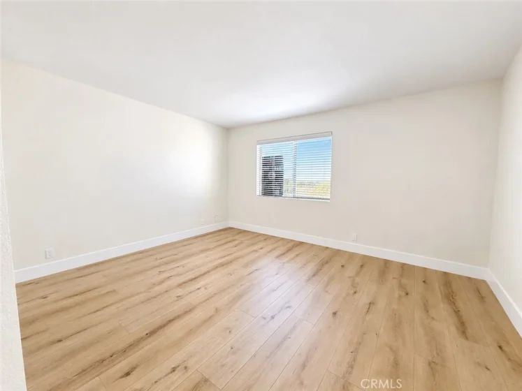 21156 Gladiolos photo 10