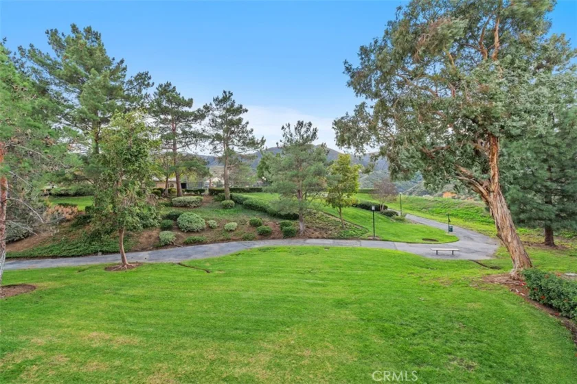 2576 Avenida Del Vista #204 photo 32