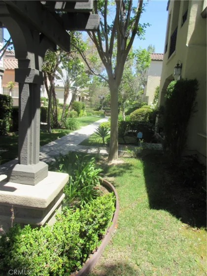 65 Figtree photo 9