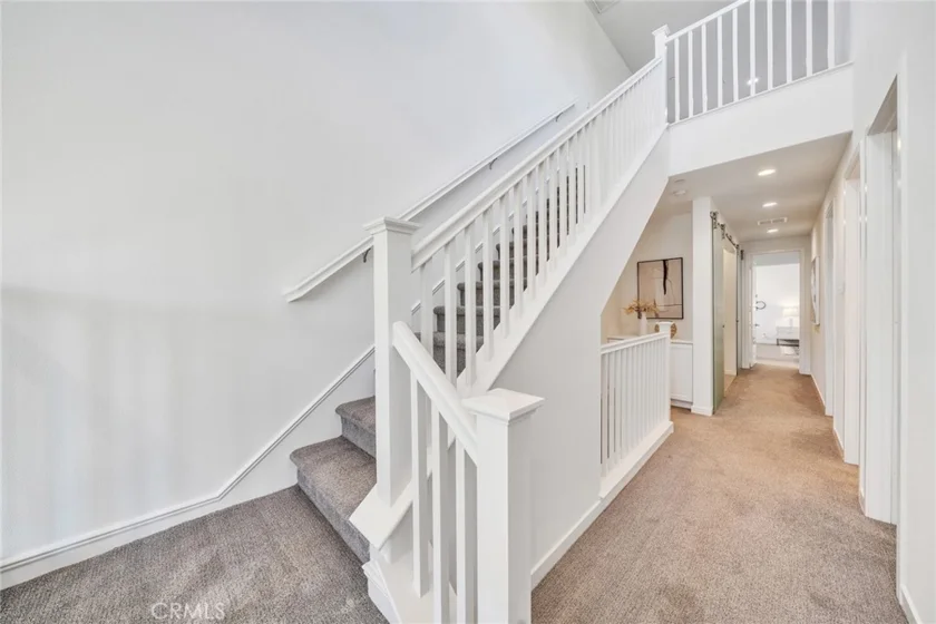 182 Finch photo 19