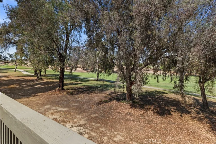 29424 Via La Plaza photo 25