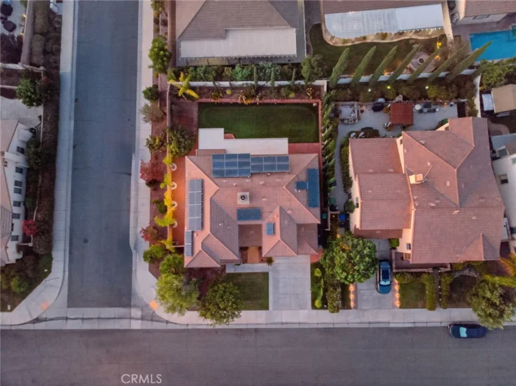 30780 Olympia Rose photo 68