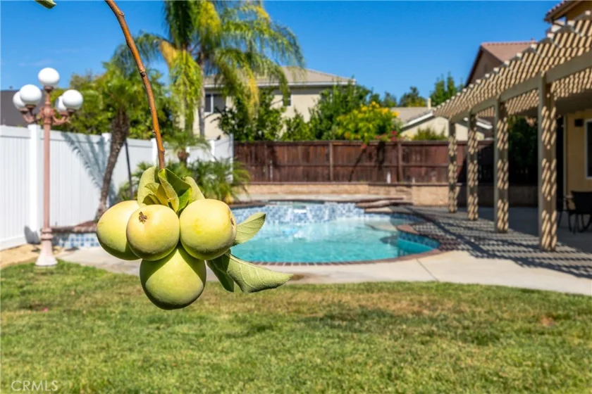 39879 Camden Court photo 45