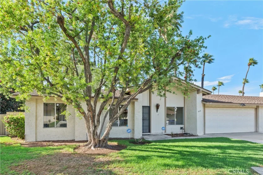 6631 Wintertree Drive photo 5