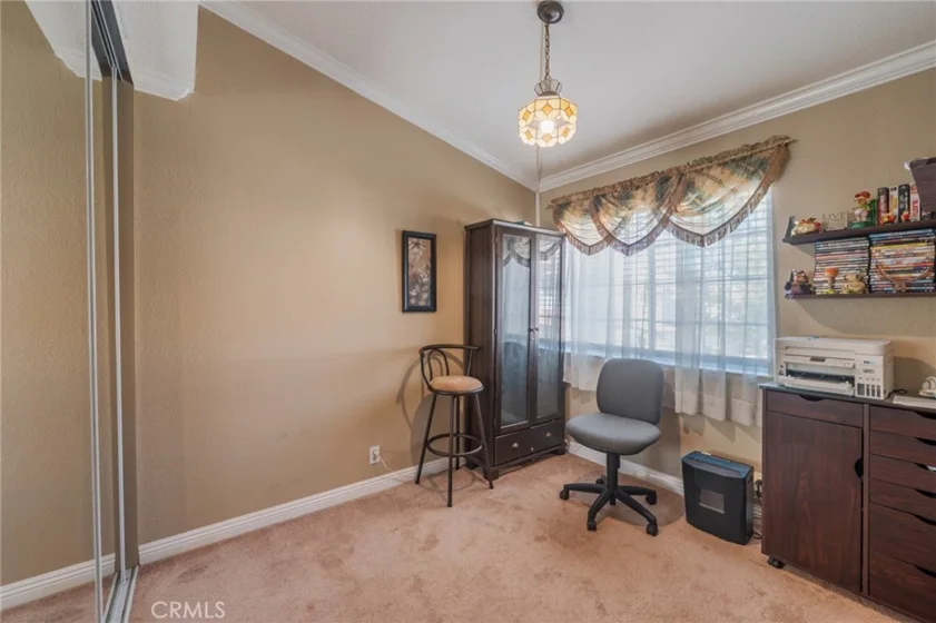 38 Carnation photo 21