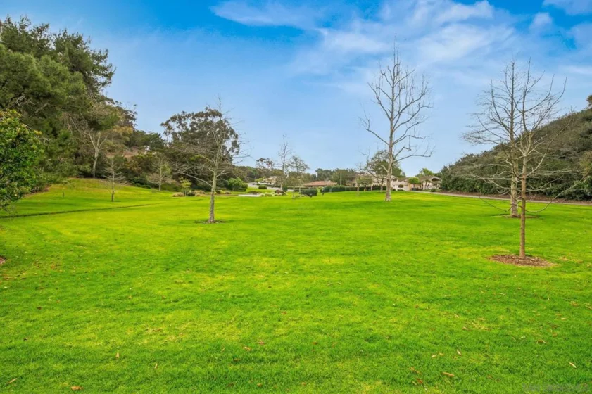 2538 Caminito Muirfield photo 47
