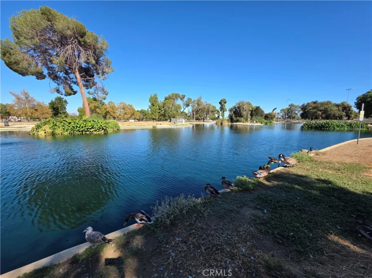 6545 Reseda photo 32