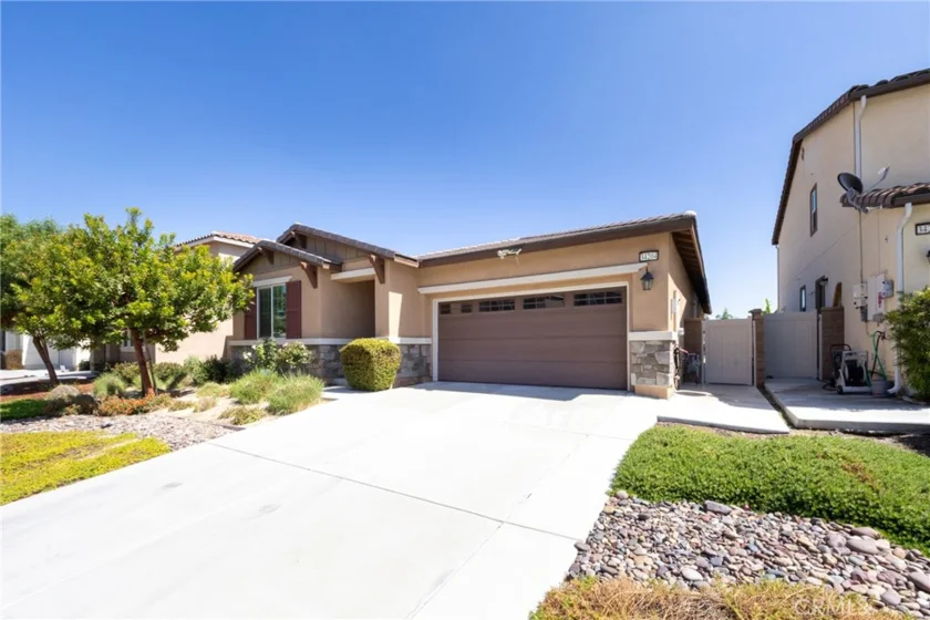 34204 Chenille photo 27