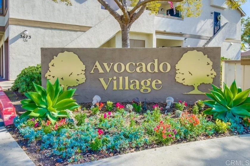 3665 Avocado Village Court #163 photo 1