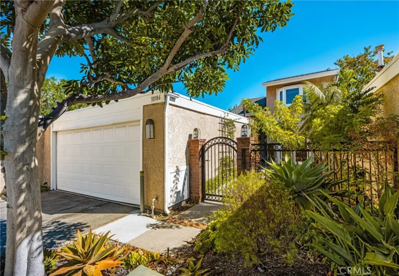 33586 Circula Corona photo 1