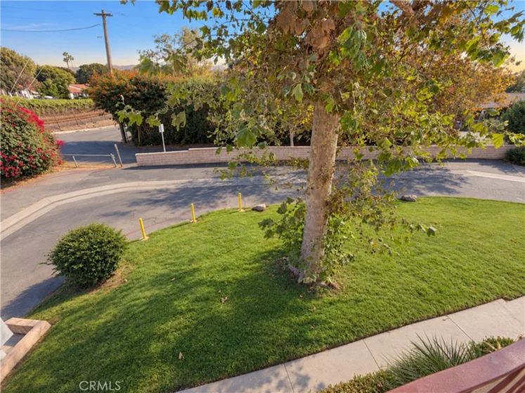 31608 Los Rios photo 14