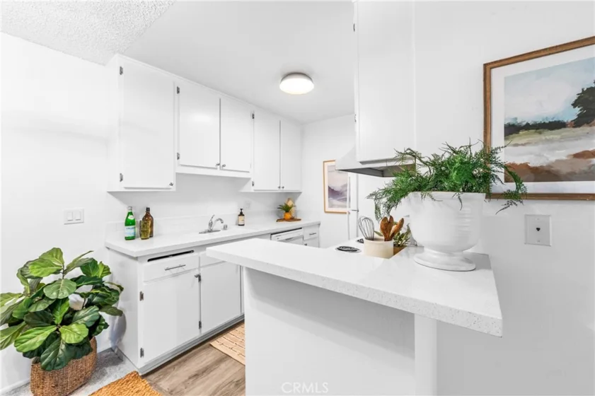 564 N Bellflower #116 photo 5