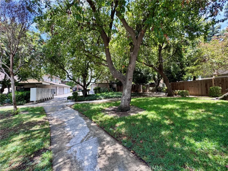 4877 Jackson Street #B photo 32