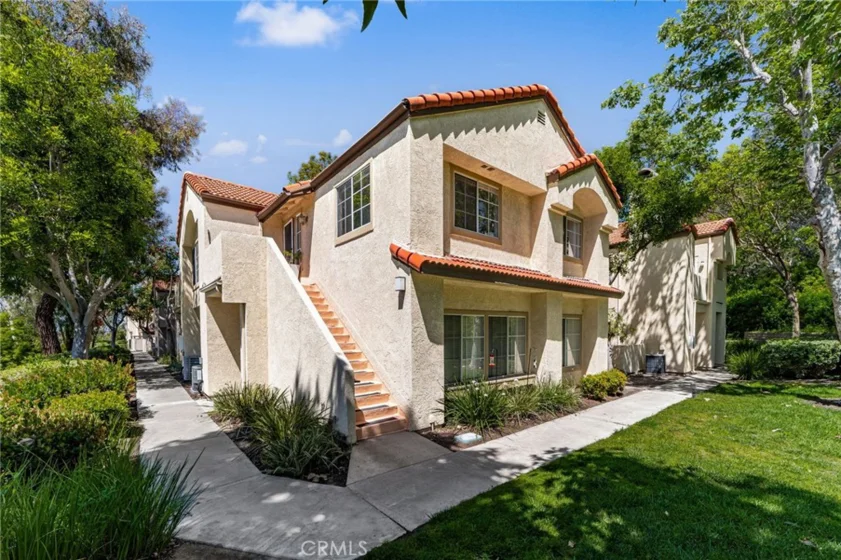 21256 Camelia photo 4