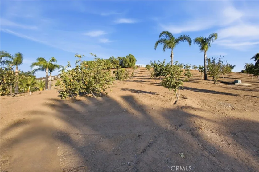 38311 Chaparral Drive photo 35