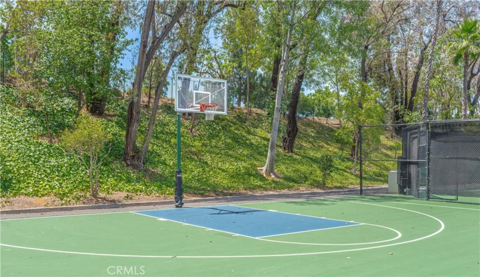 24575 Copper Cliff Court #7 photo 38