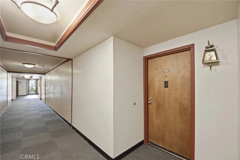 4114 Apricot photo 2
