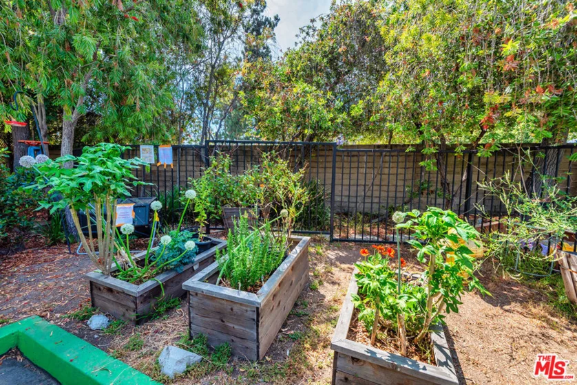 7306 Summertime Lane photo 27