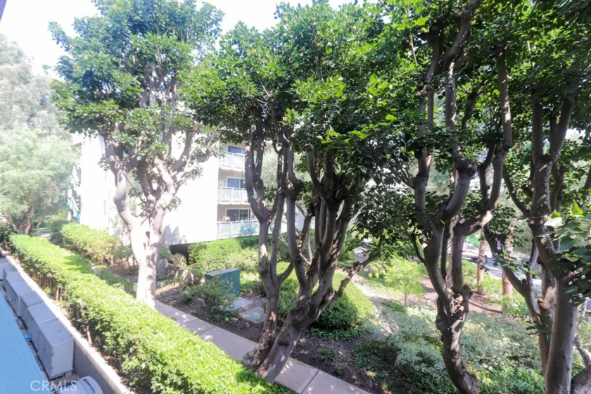 564 N Bellflower Boulevard #218 photo 11