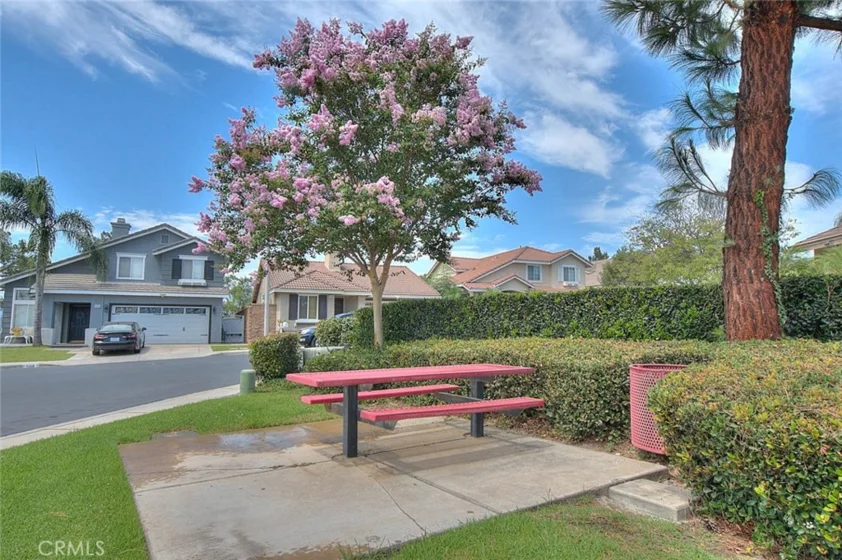 523 Towergrove photo 55