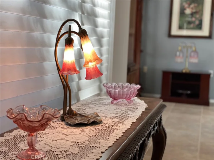 28938 Paseo Caravella photo 11