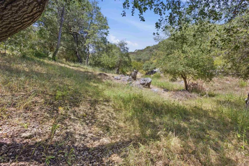 18380 Avenida Caleta photo 40